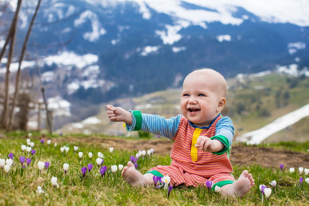 little baby playing with crocus flowers in the alps 1