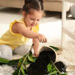 little girl near houseplant and broken pot at home